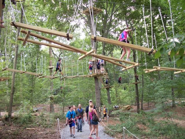 Ropes Courses3